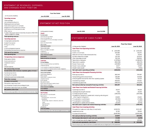 Condensed IU Financial Statements